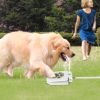 Dog Water Fountain Outdoor Dog Pet Water Dispenser Step-on Activated Sprinkler